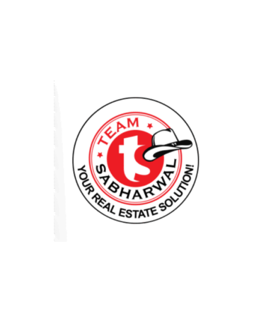 Team Sabharwal-Platinum